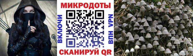 Псилоцибиновые грибы Psilocybine cubensis Туймазы